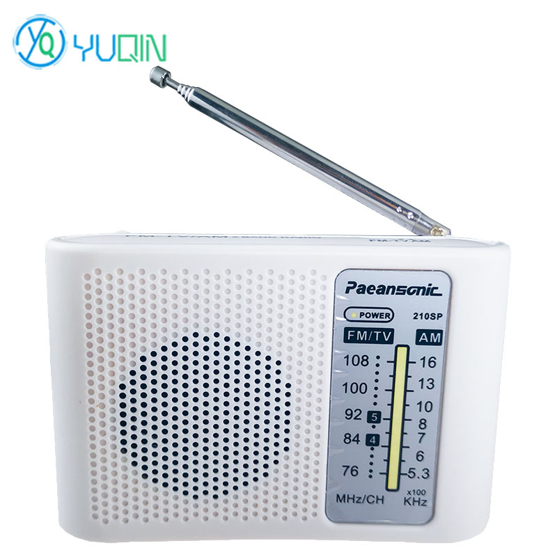 210SP AM/FM Radio Kit DIY Elec - đánh giá và giá Diy Electronics Projects For Beginners